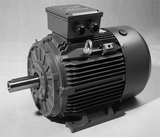 Three Phase Electric Motor 18.5kW 2P (2950rpm) 415v B3 Foot Mounted TCI160L-2 IP55 Cast Iron - Motor Gearbox Products