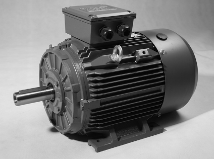 Three Phase Electric Motor 110kW 2P (2980rpm) 415v B3 Foot Mounted TCI315S-2 IP55 Cast Iron - Motor Gearbox Products