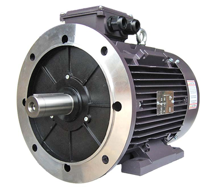 Three Phase Electric Motor 30kW 2P (2955rpm) 415v B35 Foot/Flange Mounted TCI200LA-2 IP55 Cast Iron - Motor Gearbox Products